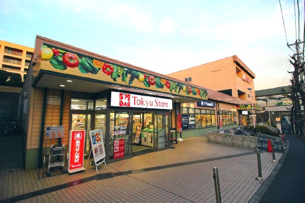 周辺環境:東急ストア  江田店(江田駅に隣接しているスーパー。平日は22時30分まで営業しているので会社帰りにも立ち寄れるので助かる。)