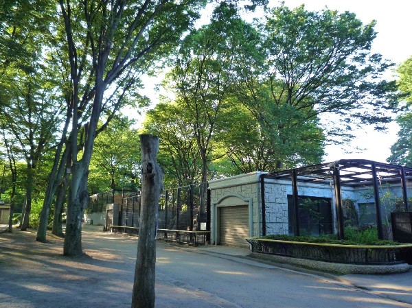 周辺環境:夢見ヶ崎動物公園　(隣接する動物公園は入園無料。シマウマやシカ、レッサーパンダがいるほか、たくさんの鳥類がいて、ペンギンの泳ぐ池もあります。)