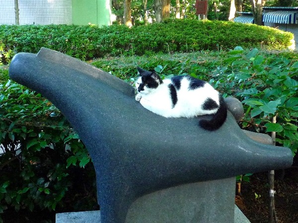 周辺環境:夢見ヶ崎公園(隣接する動物公園は入園無料。シマウマやシカ、レッサーパンダがいるほか、たくさんの鳥類がいて、ペンギンの泳ぐ池もあります。)