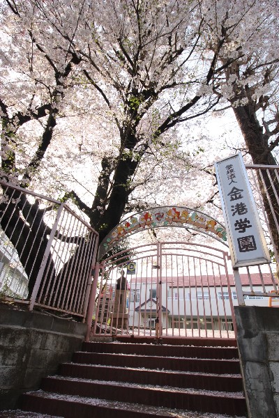 周辺環境:金港幼稚園(創立から100年以上ずっと変わらない遊びを中心にした保育。金港幼稚園で「生きる力」を育てよう。)