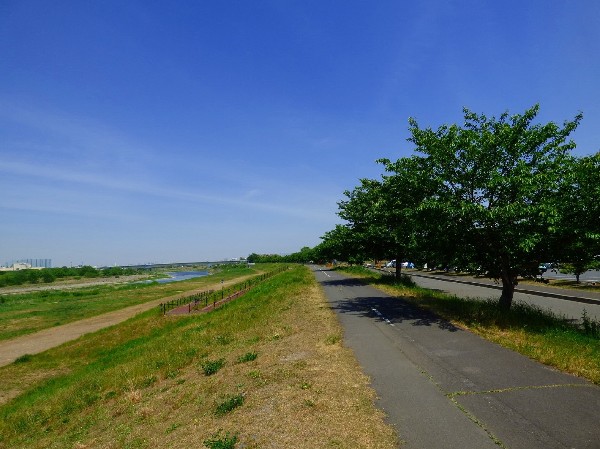周辺環境:多摩川緑地(のんびり川を眺める。ランニングする。お子様と遊ぶ。バーベキューで楽しむ。花火大会で盛り上る。暮らしをより充実させてくれる住環境です。)