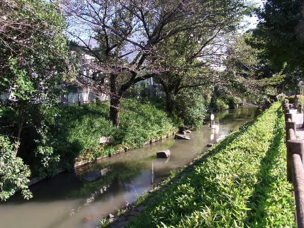 周辺環境:二ヶ領用水 (春には桜が咲き誇る、二ヶ領用水の沿道。四季の移ろいを感じる自然が身近にある幸せは、長く住む地だからこそ大切にしたいとっておきの場所。)