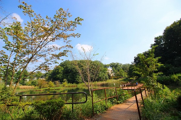 周辺環境:もえぎ野公園(青葉区で一番大きい池があるのどかな雰囲気の公園です。池を横断するデッキは、池の水面に近く、時々カモが一休みしています。2016)