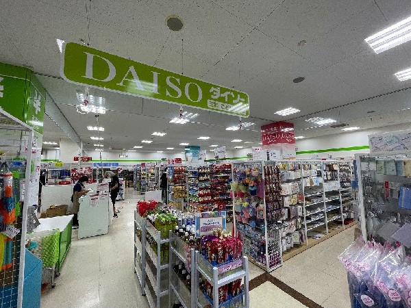 周辺環境:ダイソー　三和こどもの国店(ホームセンターコーナン、スーパー三和などの入るショッピングセンター内にある100円ショップです。)
