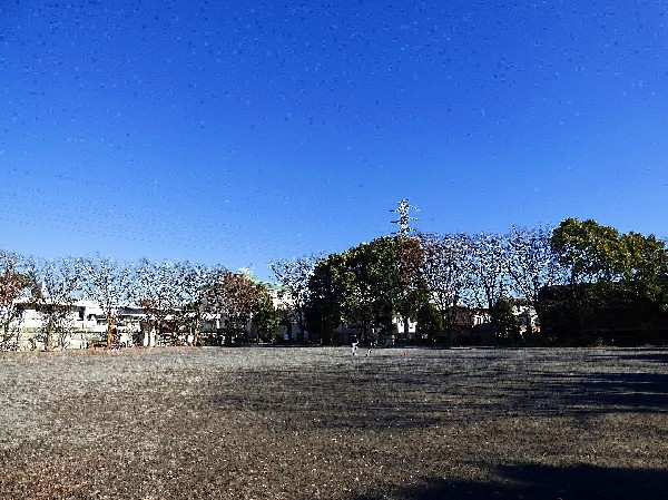 周辺環境:橘公園(大きな複合遊具や広いグラウンド、水遊びもできる遊水広場などがある)