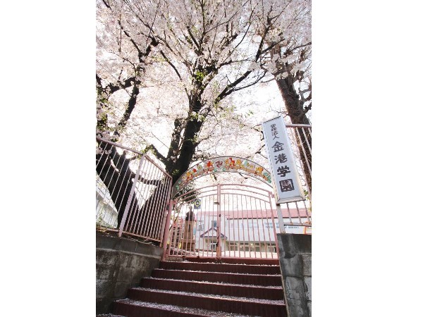 周辺環境:金港幼稚園(創立から100年以上ずっと変わらない遊びを中心にした保育。金港幼稚園で「生きる力」を育てよう。)