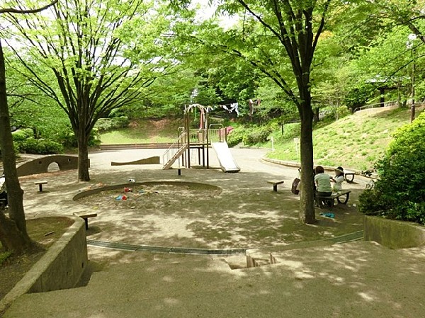 周辺環境:日吉本町鯛ヶ崎公園(季節の移ろいを感じられます。四季を感じ、ジョギングをしたり、お子様と一緒に遊べる公園です。お子様も伸び伸び成長してくれますね。)