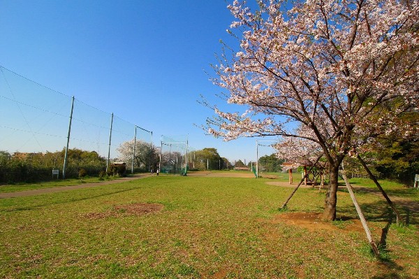 周辺環境:高津区市民健康の森（春日台公園)(野球場が併設されている広々とした公園。都市圏にありながら森林浴が楽しめるほど、自然豊かな場所です。)