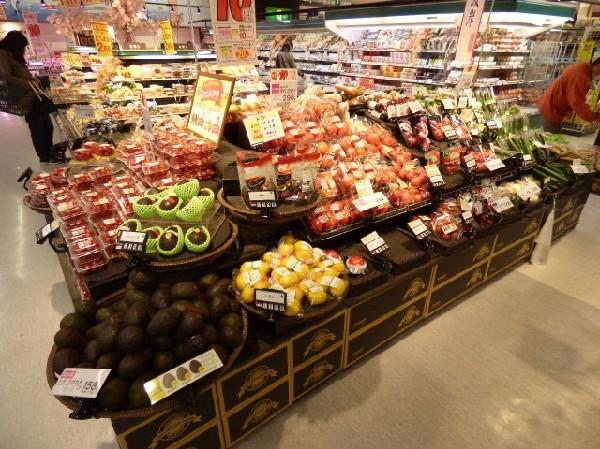 周辺環境:いなげや川崎中野島店　(明治33年創業。現在1都3県にスーパーマーケットチェーンとして、「いなげや」「ina21」「ブルーミングブルーミー」の各名称で店舗を展開。)