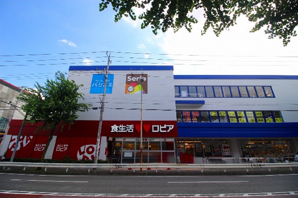 周辺環境:ロピア馬絹店　ノジマ(電気店のノジマと同じ建物にあります。ロープライスのユートピアを作ることを目標にしています。)