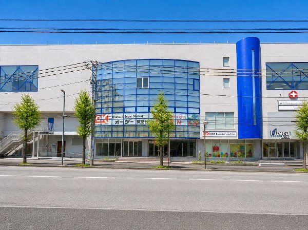 周辺環境:オーケー青葉台店(『高品質・Everyday Low Price』の経営方針のもと、関東を中心にディスカウントセンター及びディスカウントスーパーマーケットを展開)
