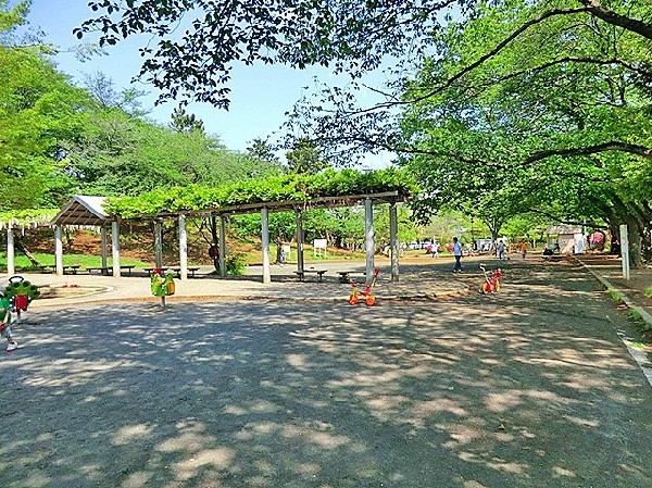 周辺環境:梶ヶ谷第一公園(自然と触れ合える、桜で有名な公園です。敷地も広く、池もあります。)