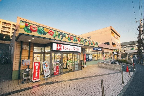 周辺環境:東急ストア  江田店(江田駅に隣接しているスーパー。平日は22時30分まで営業しているので会社帰りにも立ち寄れるので助かる。)