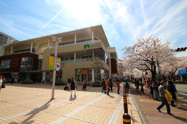 周辺環境:たまプラーザ駅(洗練された田園都市線のイメージそのままに、たまプラーザテラス・東急百貨店などの商業施設が揃う、急行停車駅です。)