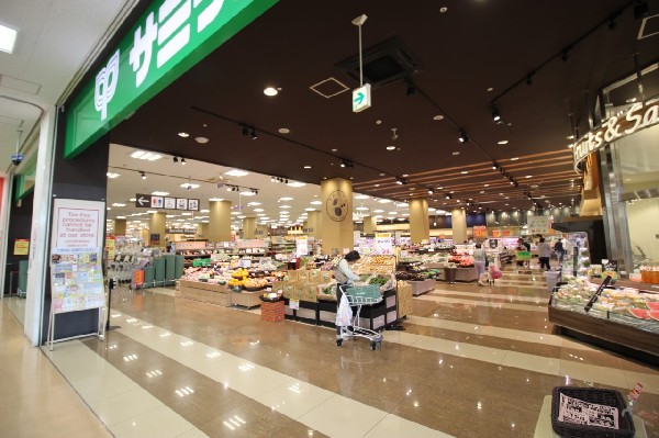 周辺環境:サミットストア新川崎店(営業時間は9：00～21：00　駐車場670台。島忠ホームズ内に衣料品店、飲食店などと共に展開。配達サービスも行っています。)