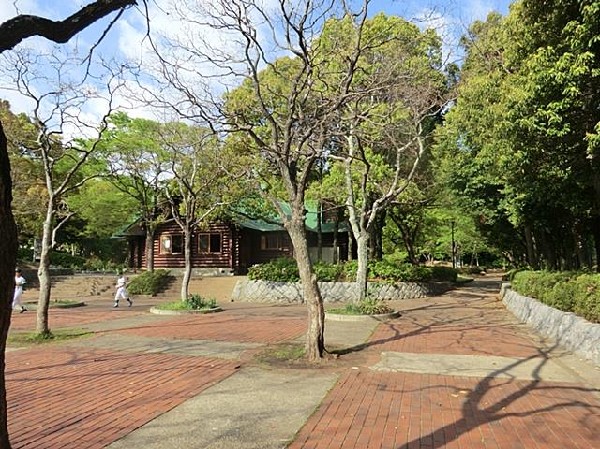 周辺環境:霧が丘公園(野球のできるグラウンド、雨の日も遊べるログハウスがある自然豊かな公園。夏祭りなども行われる。)