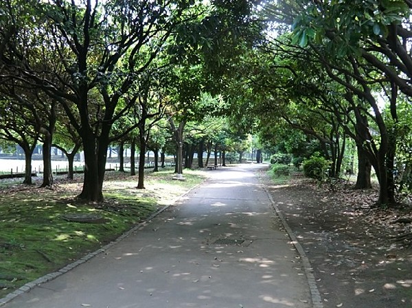 周辺環境:入船公園(ナイター付きの野球場とテニスコート、遊具や芝生広場、ドッグランがある自然公園。四季折々の花が美しい。)