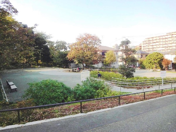 周辺環境:渋沢金井公園(緑が多く木漏れ日を楽しめる公園。紫陽花が綺麗です。すべり台、ブランコ等の遊具があり親子で楽しめます。)