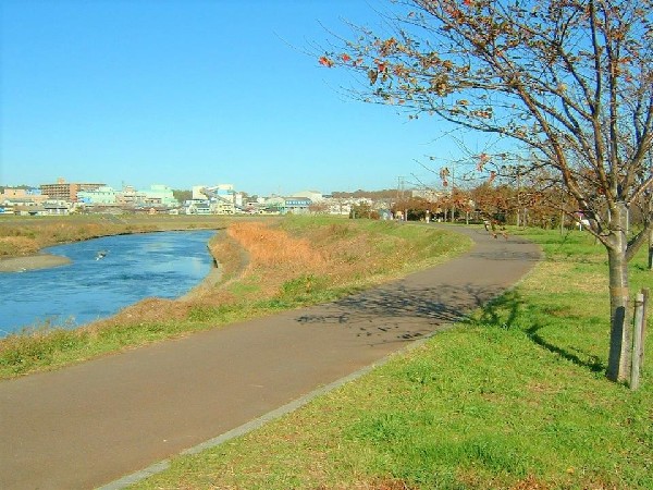 周辺環境:鶴見川(お散歩やランニングなどにも最適な鶴見川河川敷、季節の移ろいを感じながら心も体もリフレッシュ！)