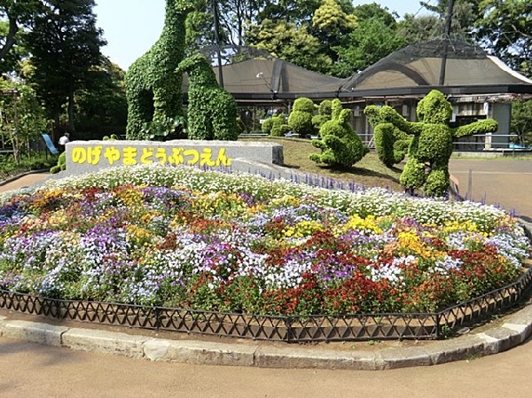 周辺環境:野毛山動物園(みなとみらい21地区を眼下に見下ろす高台にある、入園無料の動物公園。広い敷地内には約83種1800点もの動物を飼育。)