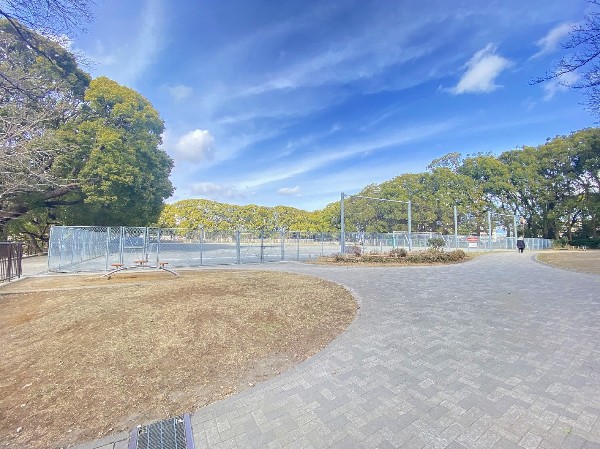 周辺環境:常盤公園(運動広場やテニスコートがある大きな公園。四季折々の梅や桜、椿など様々な草花が咲き、休日のお散歩にぴったりです。)