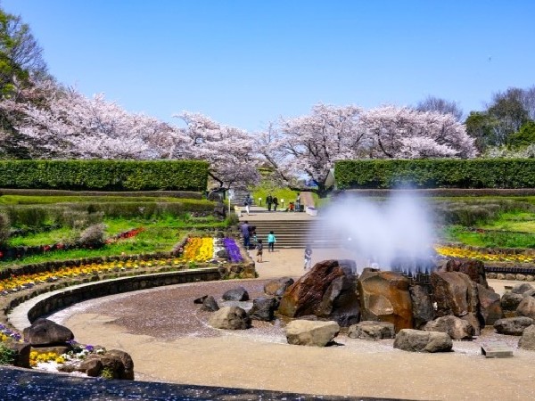 周辺環境:四季の森公園(季節によって様々な野花が咲き誇る。ジャンボ滑り台や水遊び可能な池がお子様にも人気の大規模公園です。)