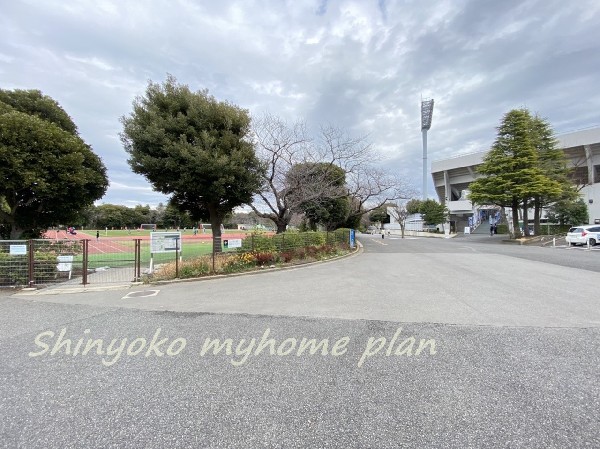 周辺環境:三ッ沢公園(国体やオリンピックにも使われた歴史ある運動公園。Ｊリーグの試合も行われ、桜の名所としても有名です。)