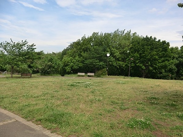 周辺環境:上星川あおぞら公園(ターザンロープや複合遊具、広場がある公園。森のエリアには吊り橋も。見晴らし台からの富士山や夜景が綺麗です。)