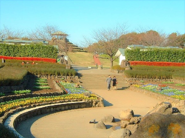 周辺環境:四季の森公園(季節によってさまざまな野花が咲き誇る。ジャンボ滑り台や水遊び可能な池がお子様にも人気の大規模公園です。)