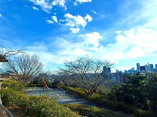 周辺環境:立町みはらし公園(高台にある緑豊かな公園。みなとみらい・ベイブリッジが一望できます。遊歩道もあるのでお散歩にぴったり。)