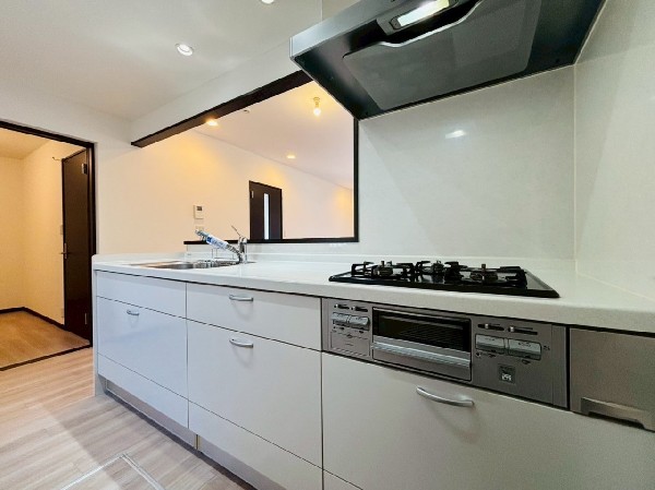 機能性とデザイン性を兼ね備えた嬉しいキッチン。食器洗乾燥機付きなので後片付け楽々。嬉しい浄水器も。