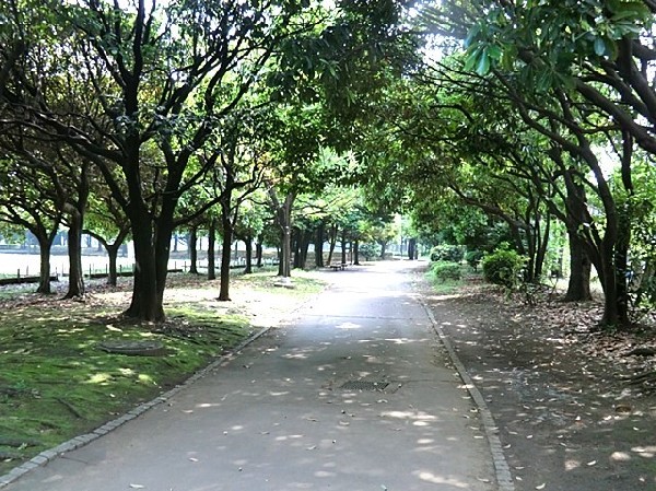 周辺環境:入船公園(ナイター付きの野球場やテニスコート、遊具や芝生広場、ドッグランなどがある広々とした自然公園。駐車場有)