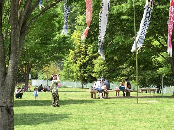 周辺環境:北八朔公園(里山風景を残す穴場の自然公園。夏には蛍も。すぐ裏に港北ＰＡがあるので車好きのお子様に喜ばれる)