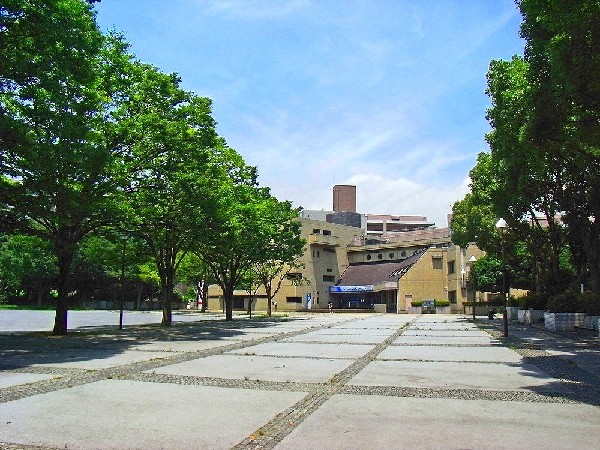 周辺環境: 沢渡中央公園 (緑溢れる広い公園。ボール遊びの出来るグラウンドや芝生が心地良い広場があり、思いっきり遊べそうです。 )
