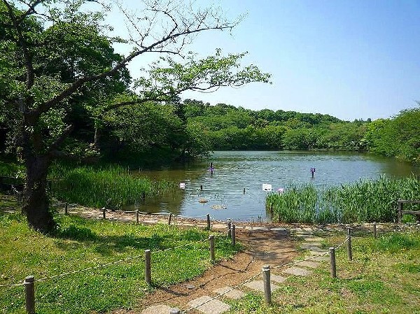 周辺環境:三ツ池公園(春には1600本の桜が開花する名所。テニスコート、プール、ロング滑り台等があり1日中楽しめる公園です)