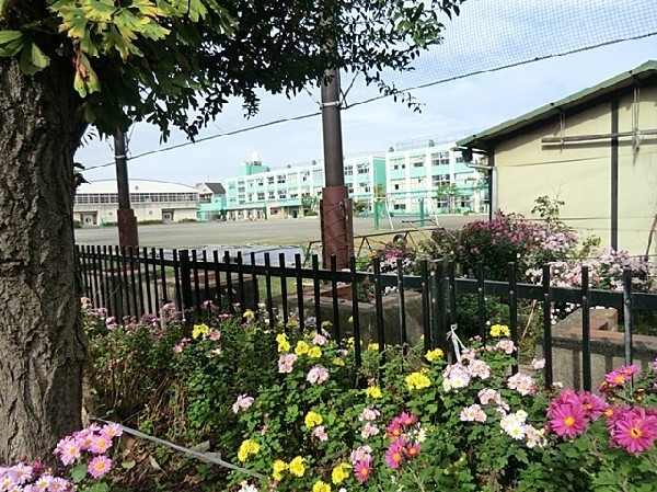 周辺環境:入船小学校(パステルグリーンの校舎が特徴的な入船公園近くの小学校。校庭キャンプなど独自の行事が思い出になります。)