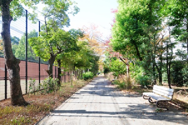 周辺環境:押立公園(付近の住民の憩いの場となるほか、夏は向かい側にあるスポーツ施設「府中スポーツガーデン」の主催で、夏まつりが開催されるなど、イベント会場としても使われます。 )