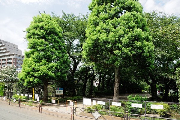 周辺環境:柴崎公園(三つの広場で構成された街区公園です。)