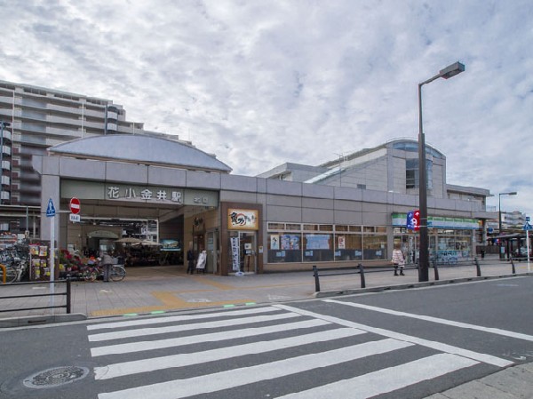 周辺環境:花小金井駅