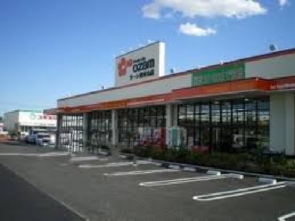 周辺環境:スーパーオザムラーレ東村山店