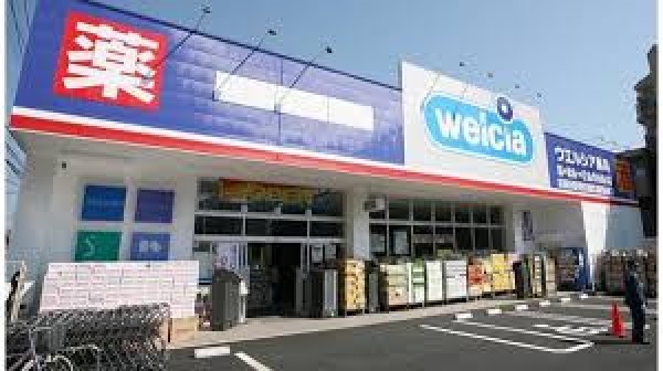 周辺環境:ウエルシア東村山野口店