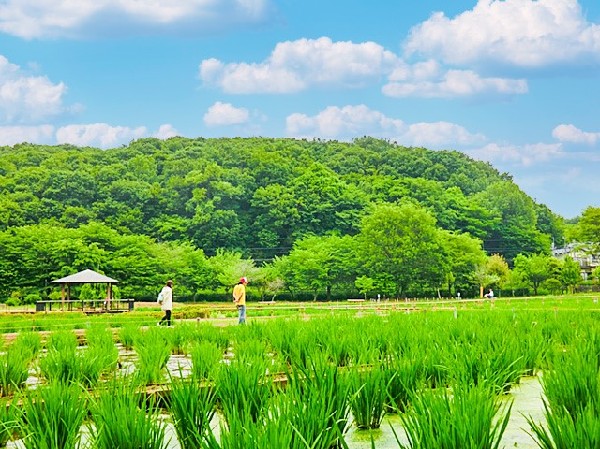 周辺環境:東村山市立北山公園