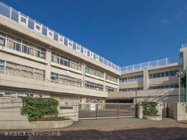 周辺環境:調布市立柏野小学校(考える子、思いやりのある子、健康な子の育成に努めている学校です。)