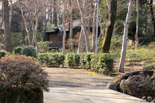 周辺環境:浴恩館公園(ナラやモミジなどの木々に囲まれ、まるで小さな森のような公園です。)