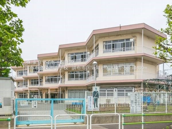周辺環境:調布市立染地小学校