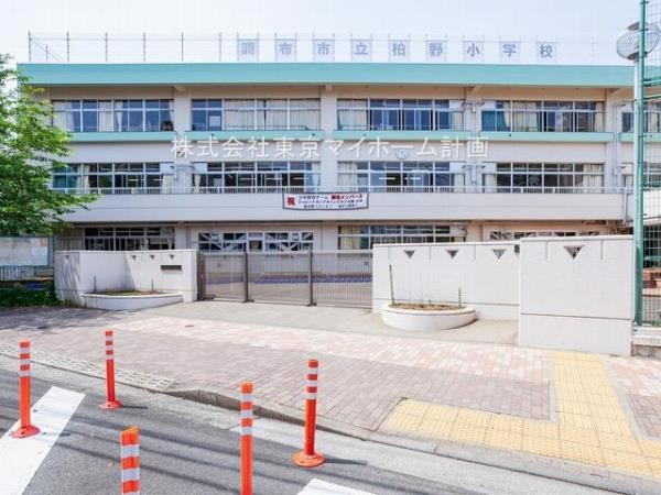 周辺環境:調布市立柏野小学校