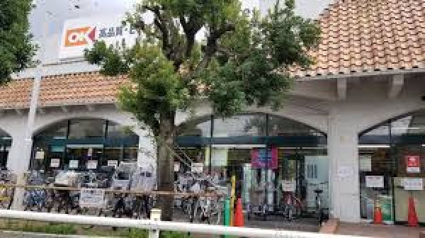周辺環境:オーケーひばりが丘店