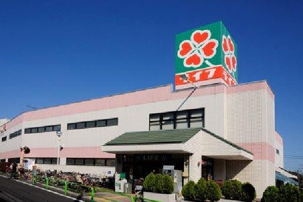 周辺環境:ライフ石神井台店